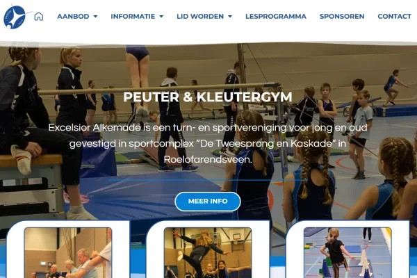 PKinBusiness portfolio Excelsior Alkemade
